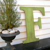 Large Wooden Letter 24