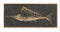 Carved Wooden Swordfish Framed Wall Art