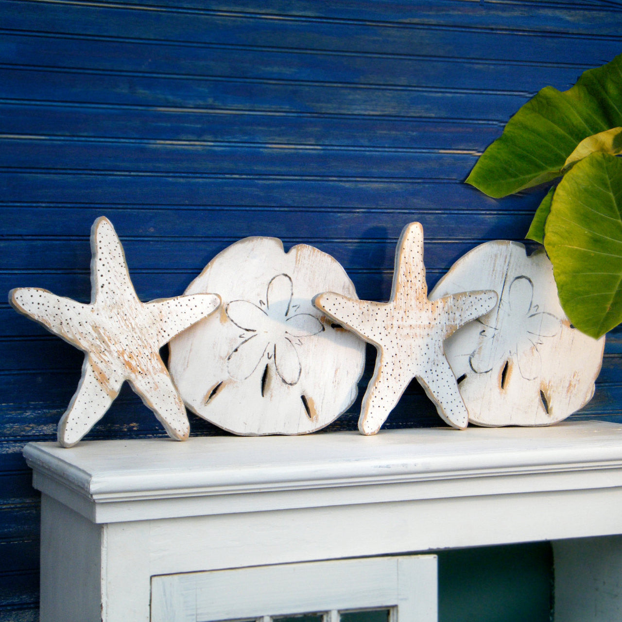 Starfish Sand Dollar Wall Decor | Coastal Wall Art -- Haven America