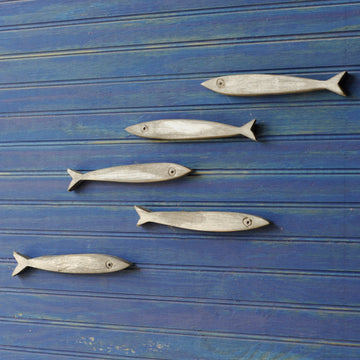 Minnow Fish School Set (5) - Haven America