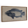 Anabas Fish Wall Art Framed - Haven America