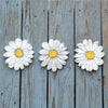 Daisies Flower Wall Decor 3 Pc Set - Haven America