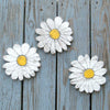 Daisies Flower Wall Decor 3 Pc Set - Haven America