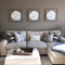 Giant Sand Dollar Framed Wall Art - Haven America