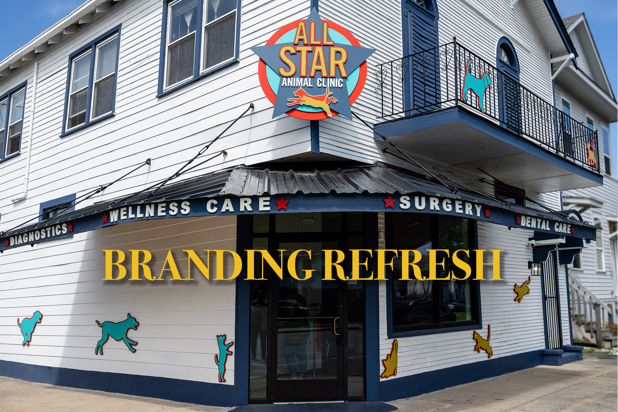 Custom Commercial Wall Art Transformed a Veterinary Clinic