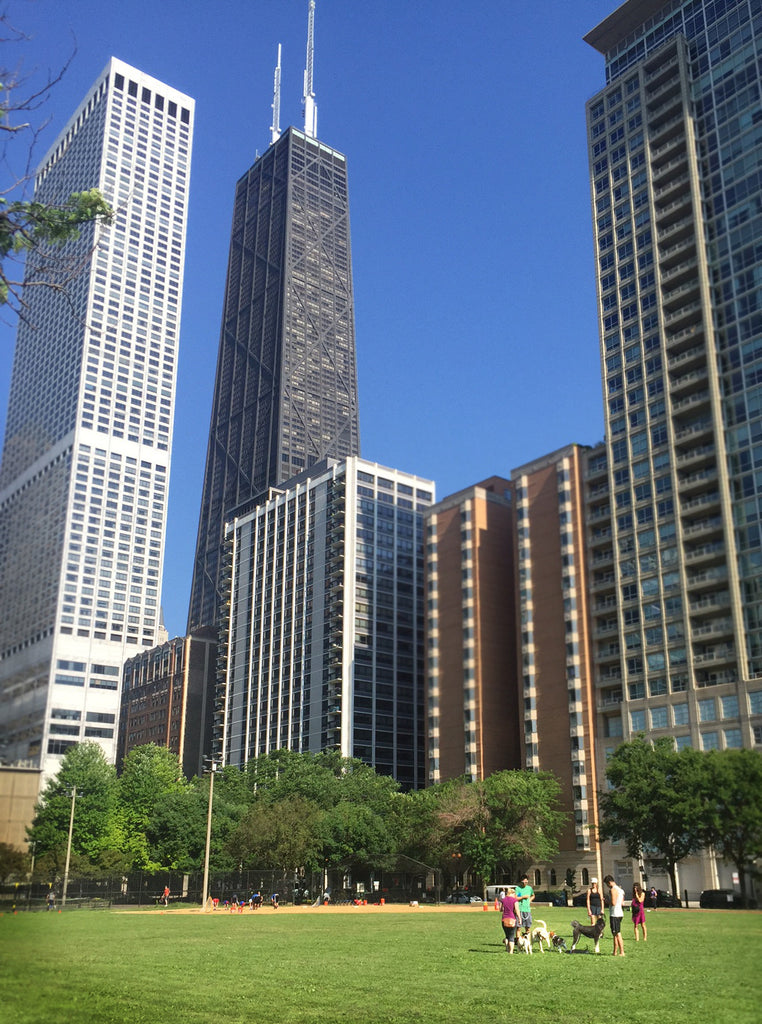 Woof Welcome! Chicago Dogs in the City