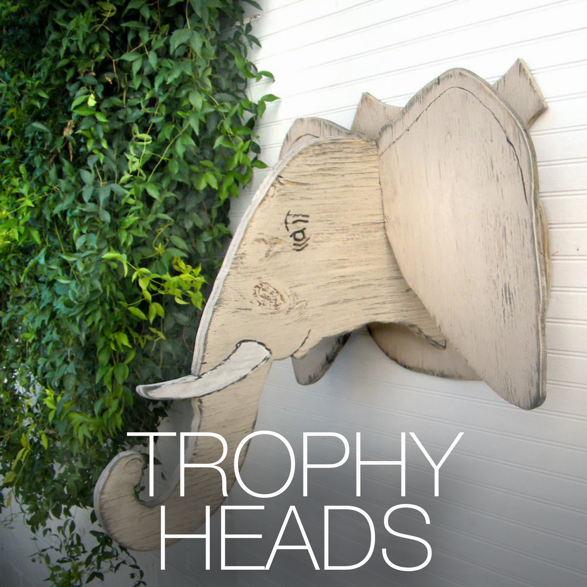 Trophy Heads
