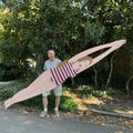 Swimmer Girl Artwork - Haven America