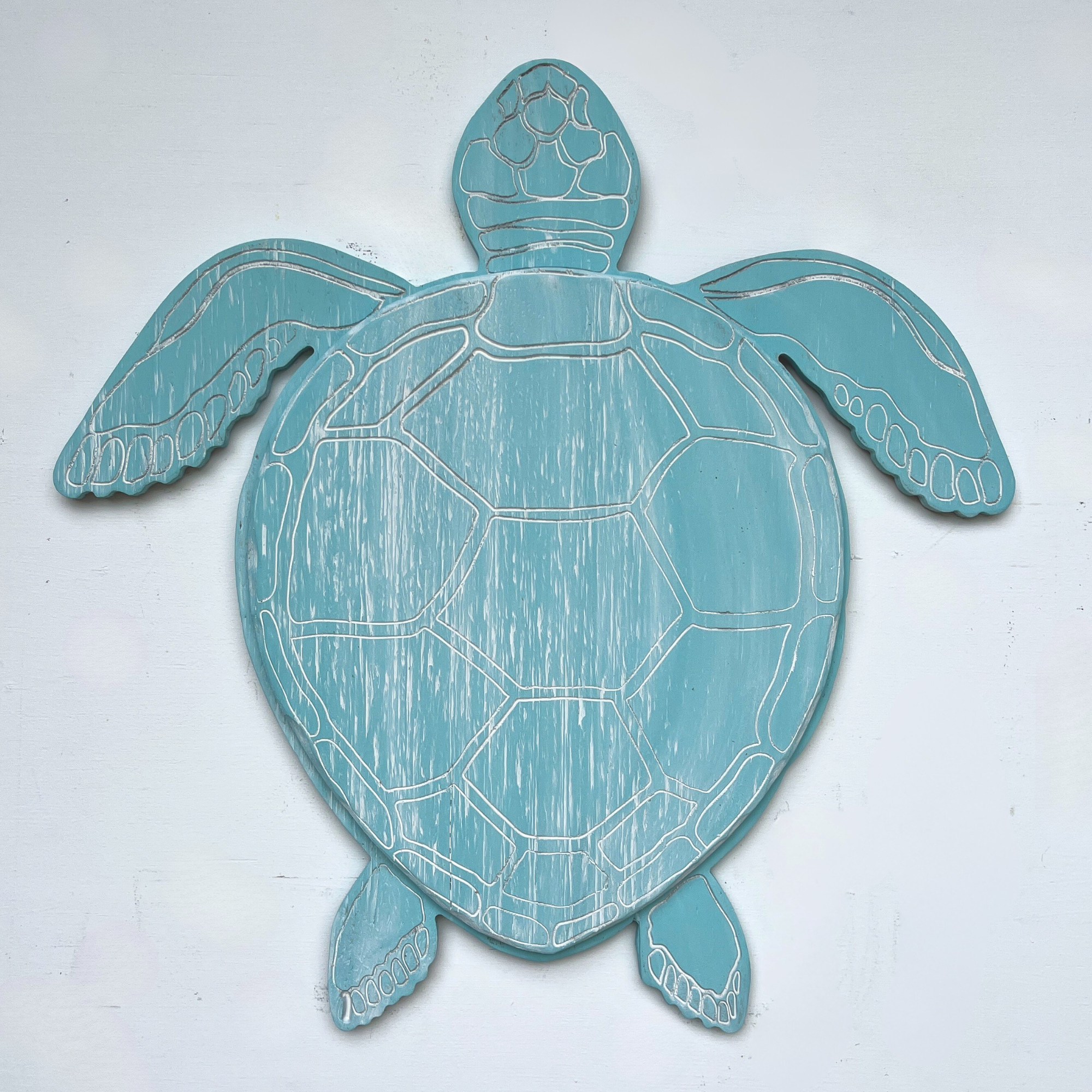Swimming Sea Turtle 2D - Haven America