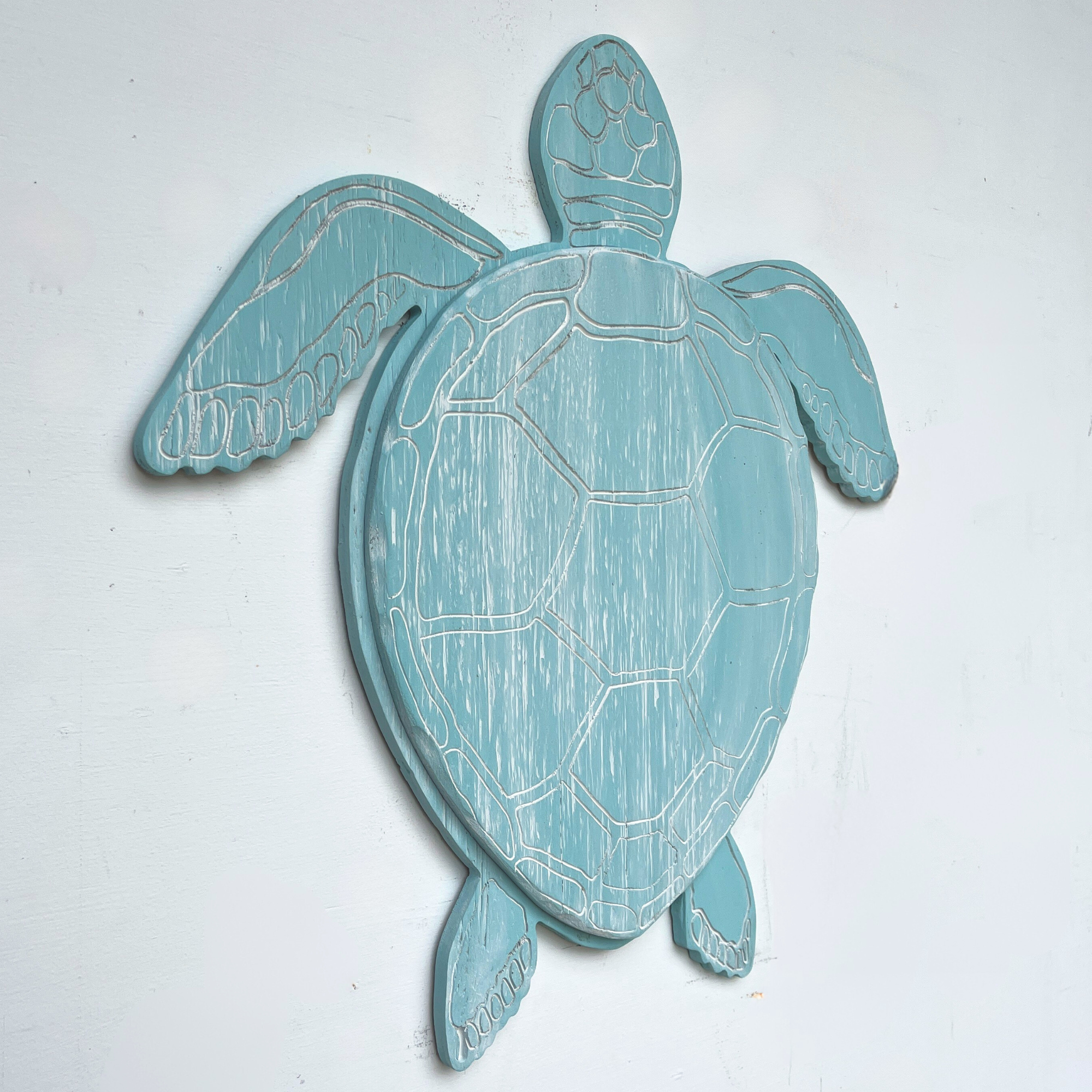 Swimming Sea Turtle 2D - Haven America