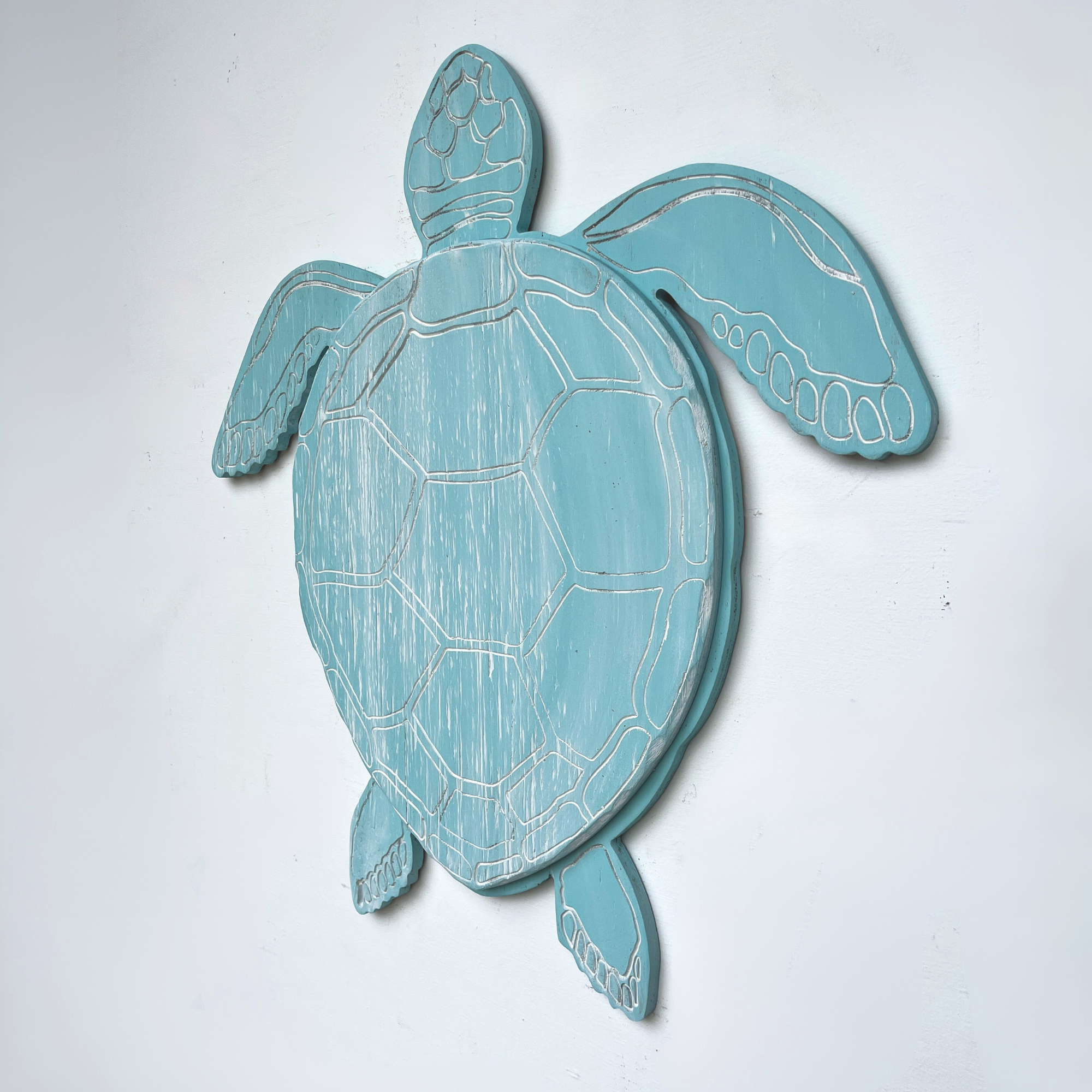 Swimming Sea Turtle 2D - Haven America