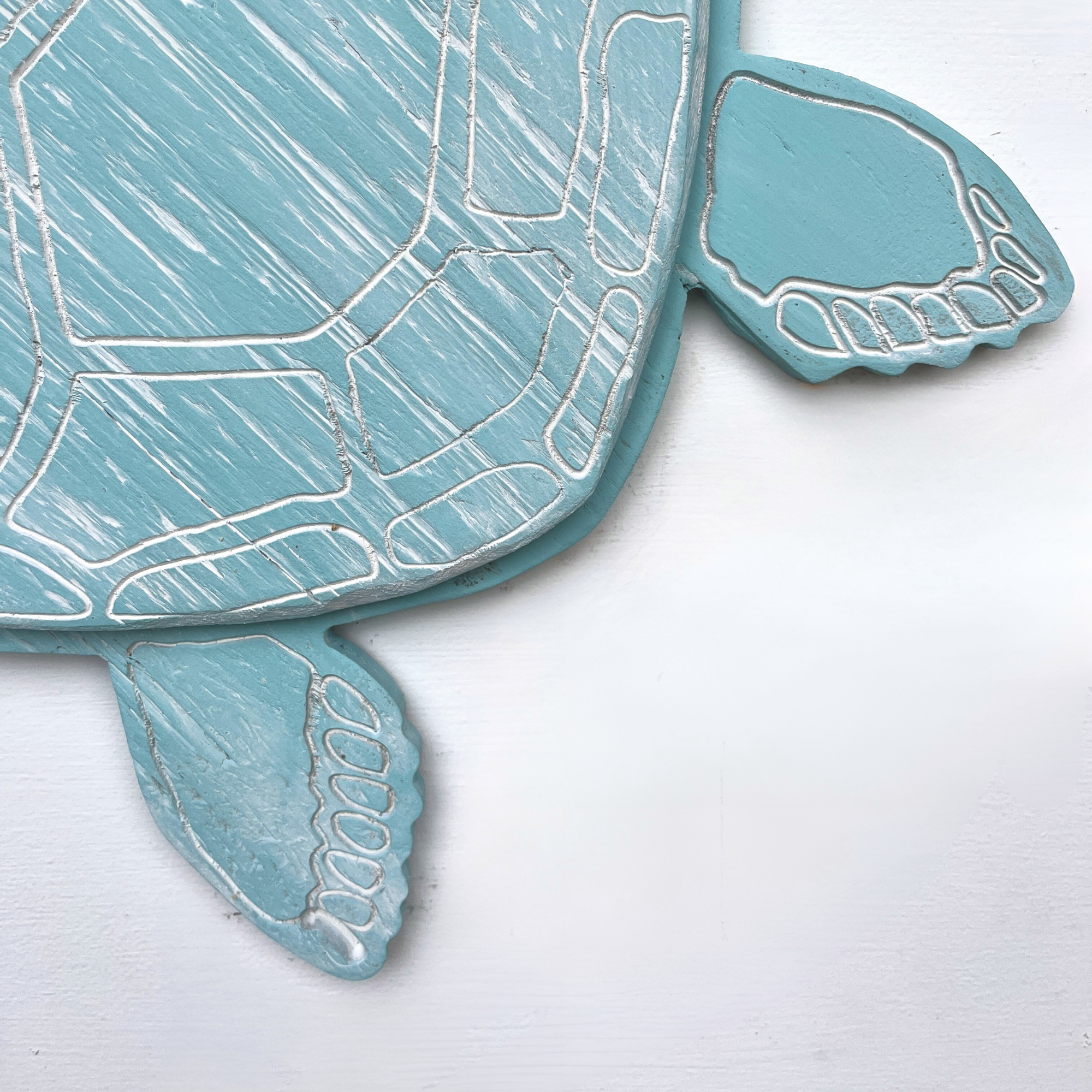 Swimming Sea Turtle 2D - Haven America