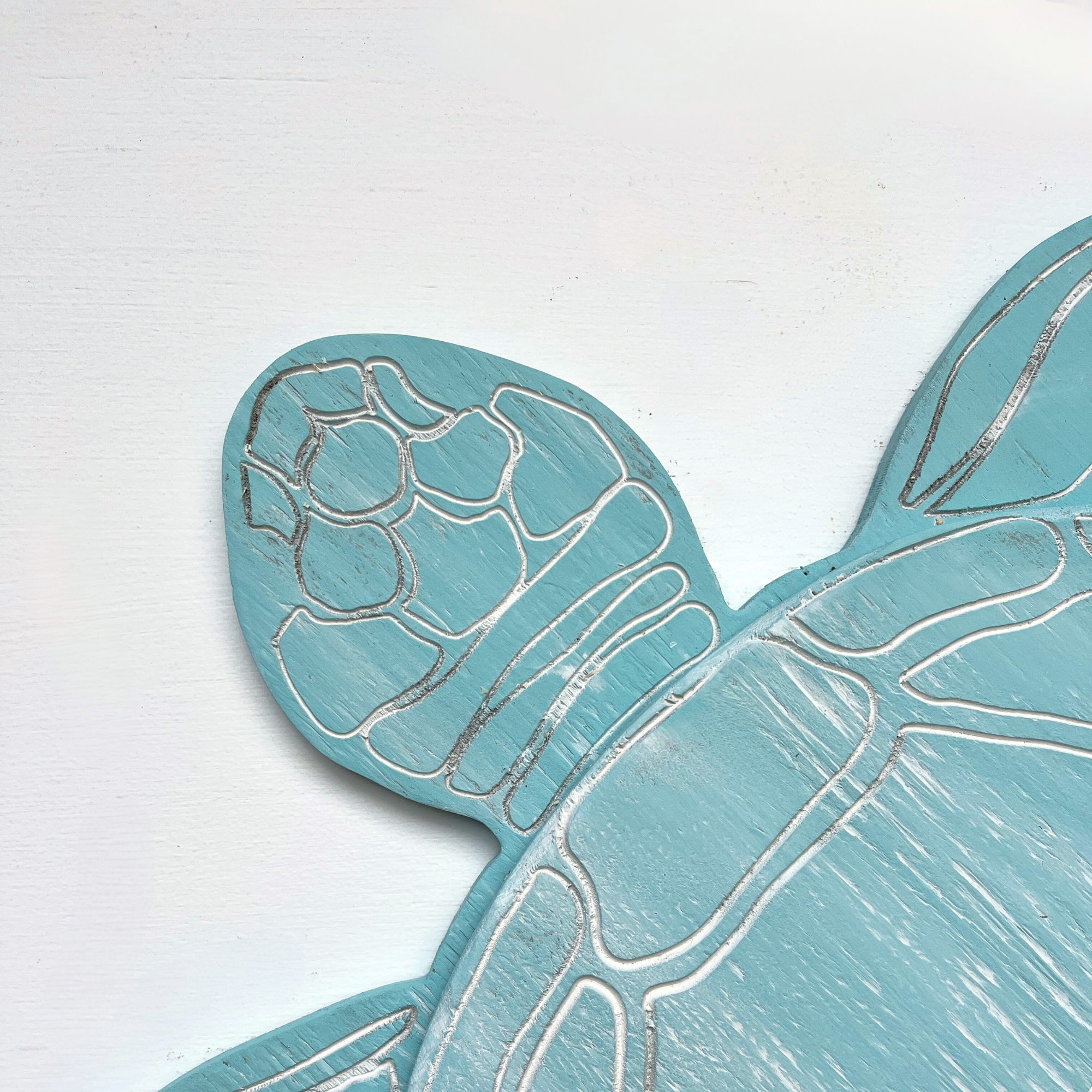 Swimming Sea Turtle 2D - Haven America