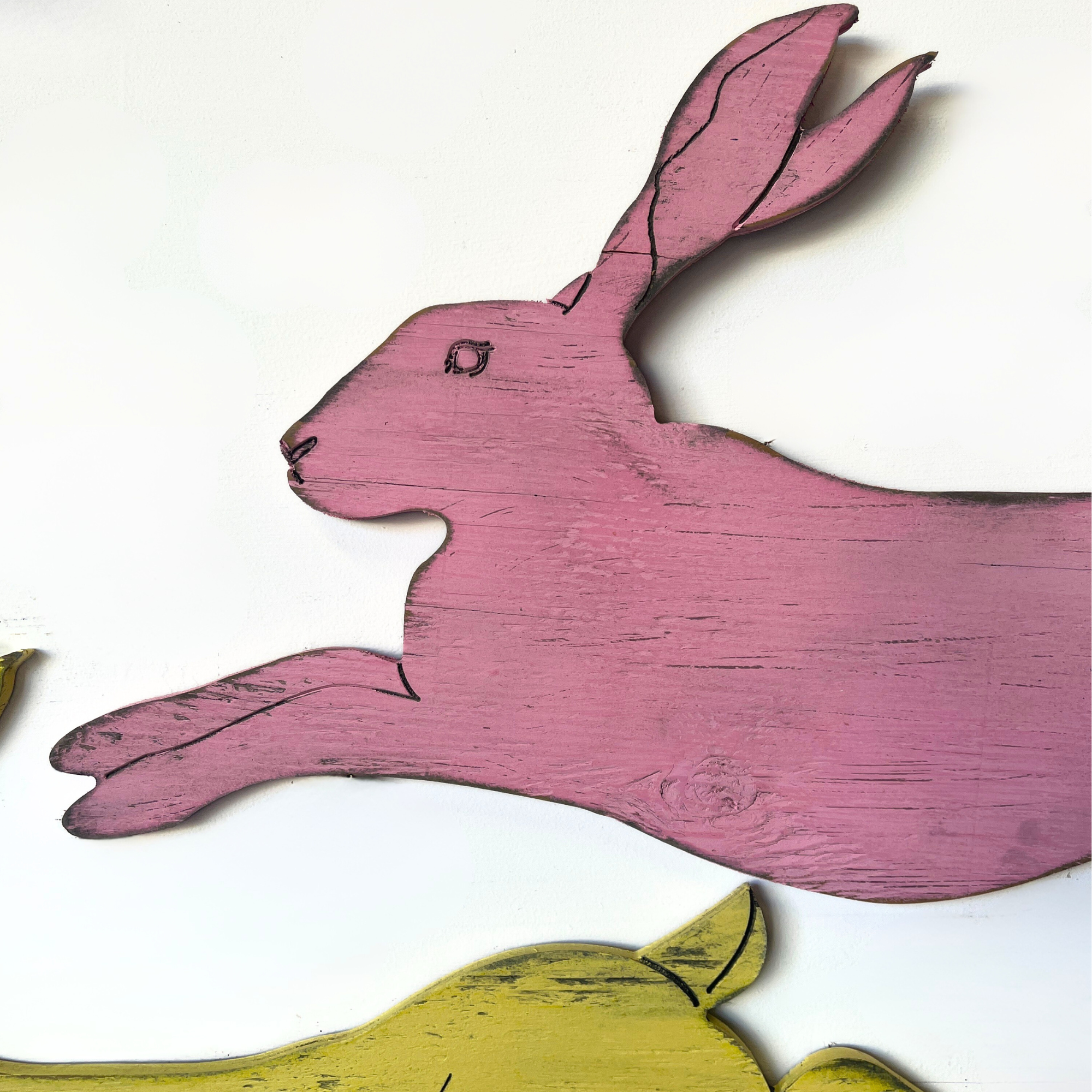 Rabbit Leaping Wall Art