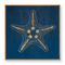 Carved Starfish No. 1 Wall Art