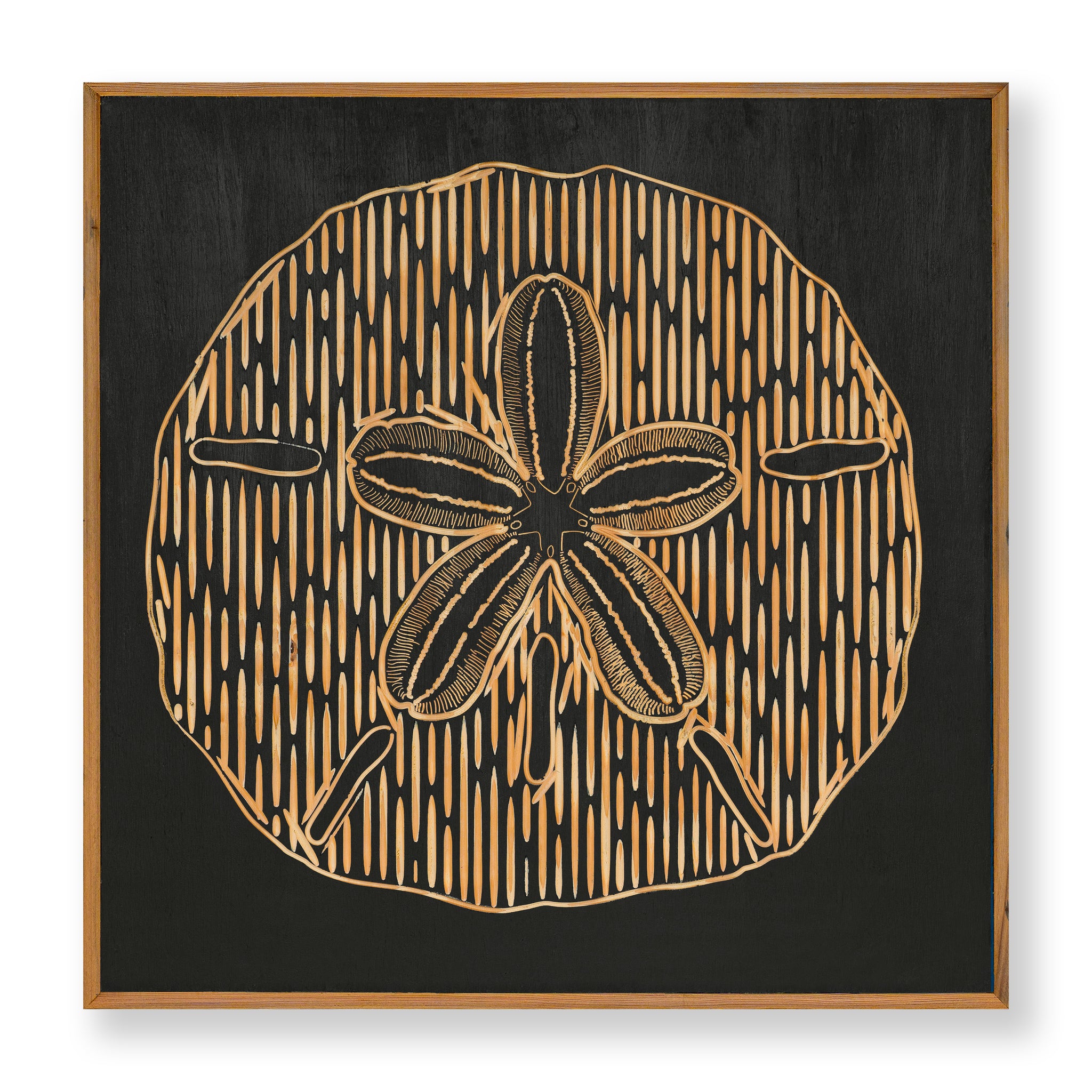 Carved Sand Dollar Wall Art - Haven America