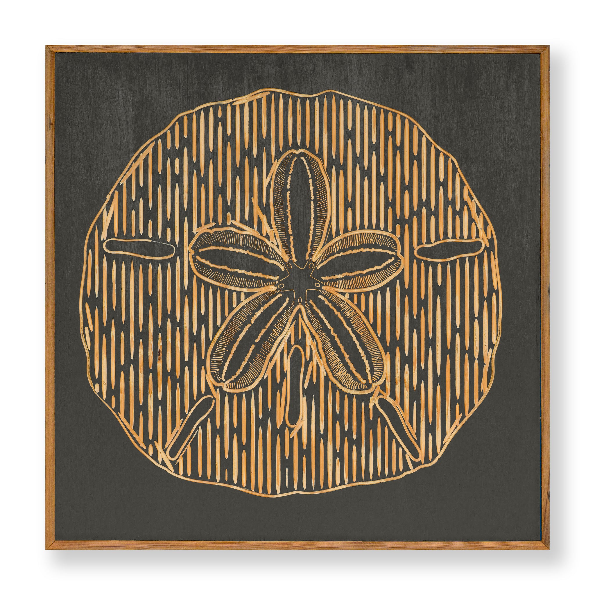 Carved Sand Dollar Wall Art - Haven America