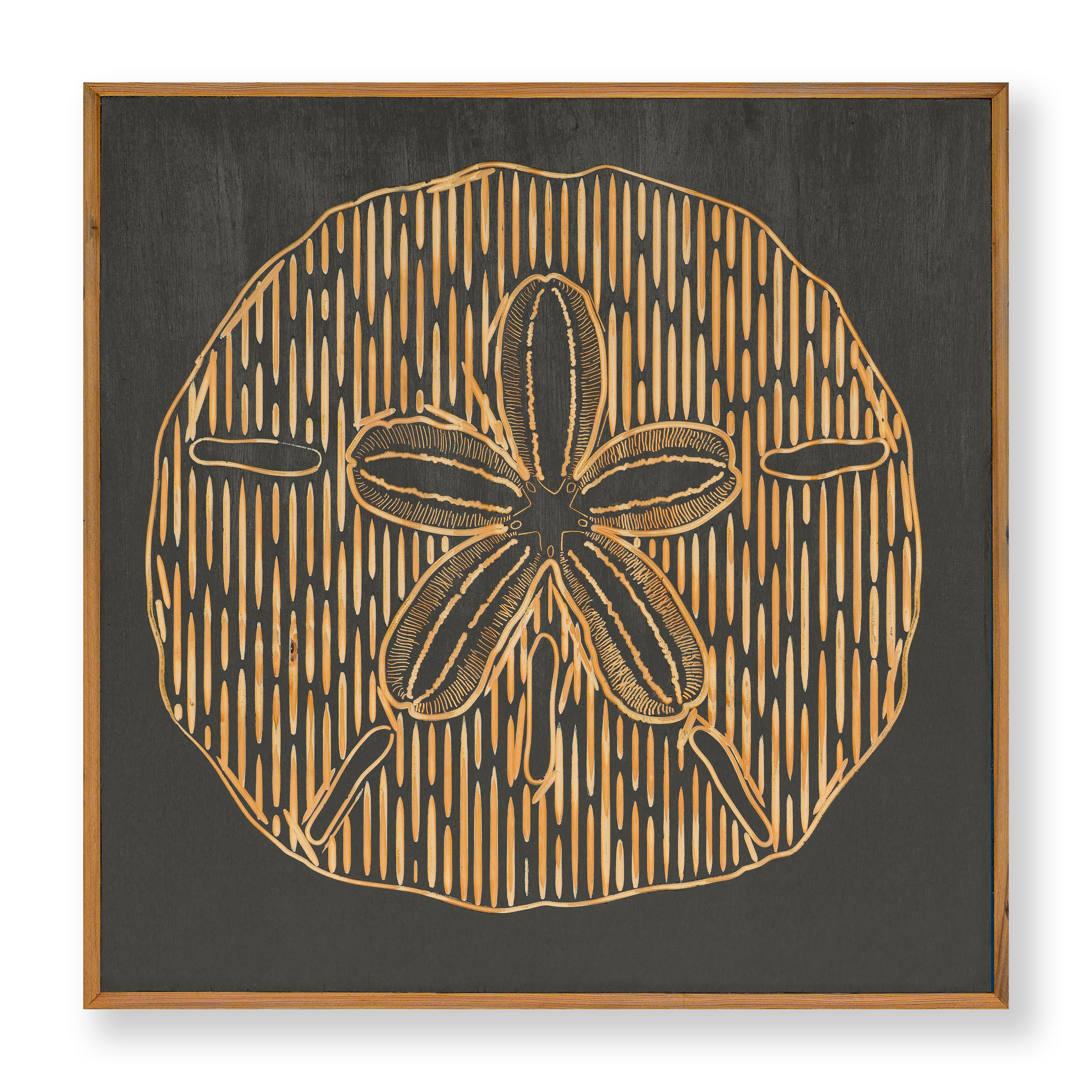 Carved Sand Dollar Wall Art - Haven America