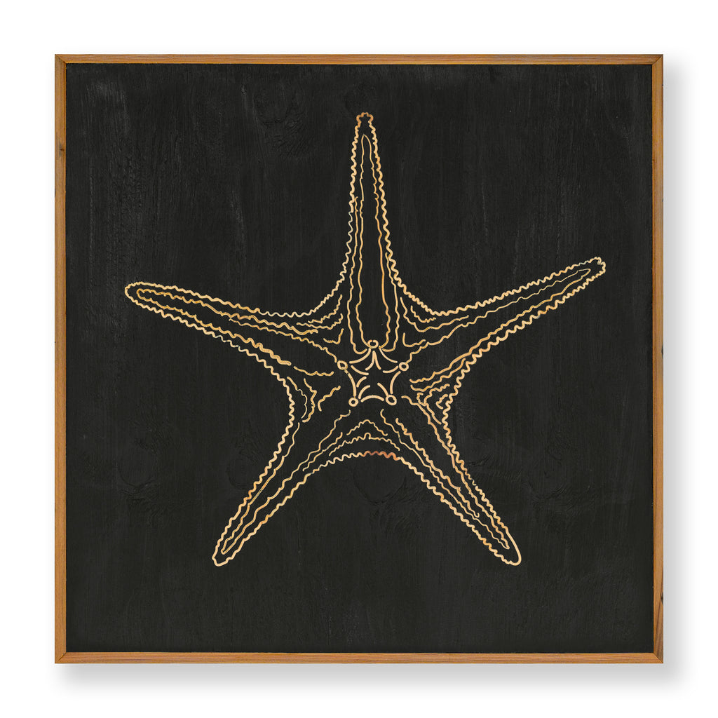 Carved Starfish No. 3 Wall Art - Haven America