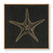 Carved Starfish No. 3 Wall Art