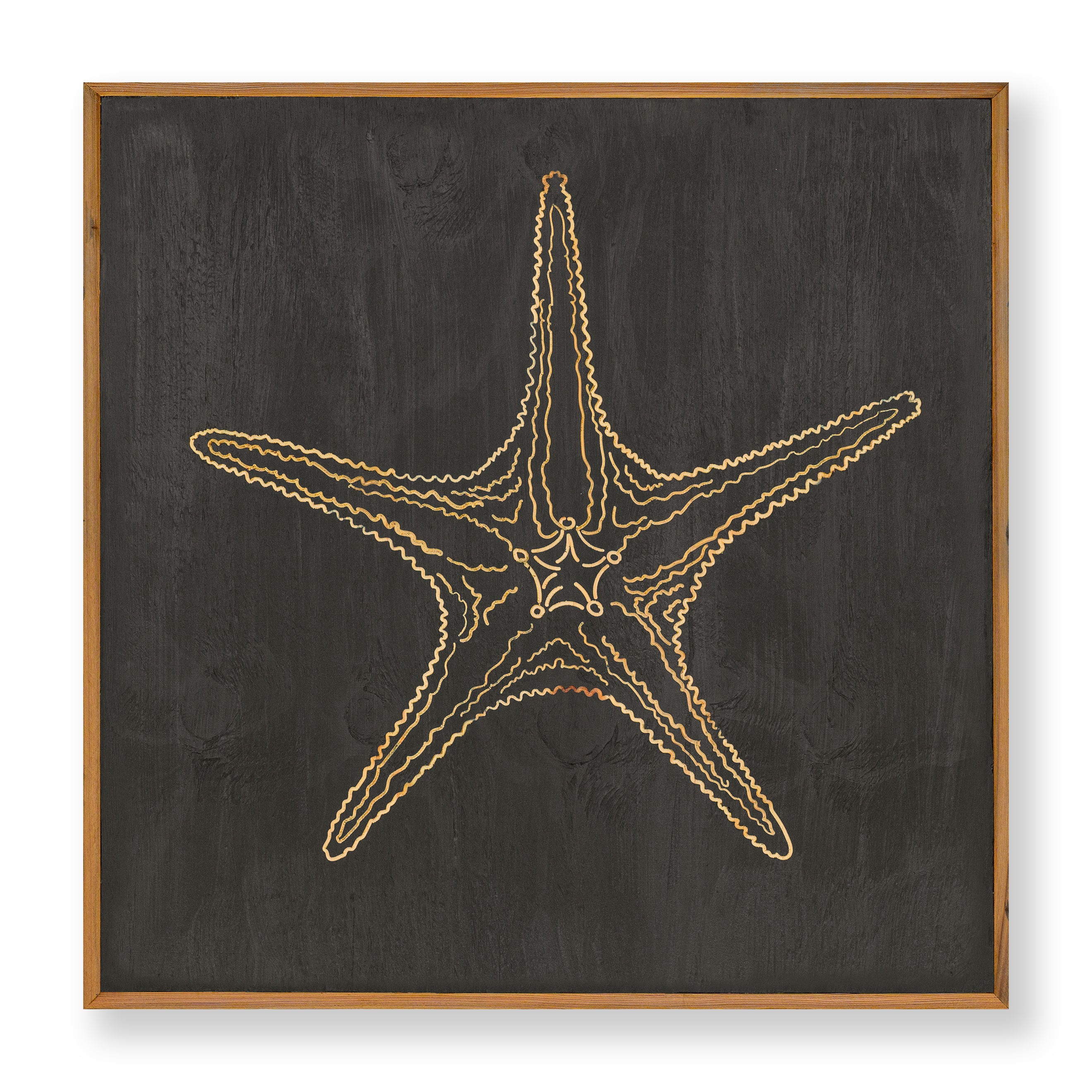 Carved Starfish No. 3 Wall Art - Haven America