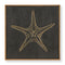 Carved Starfish No. 3 Wall Art