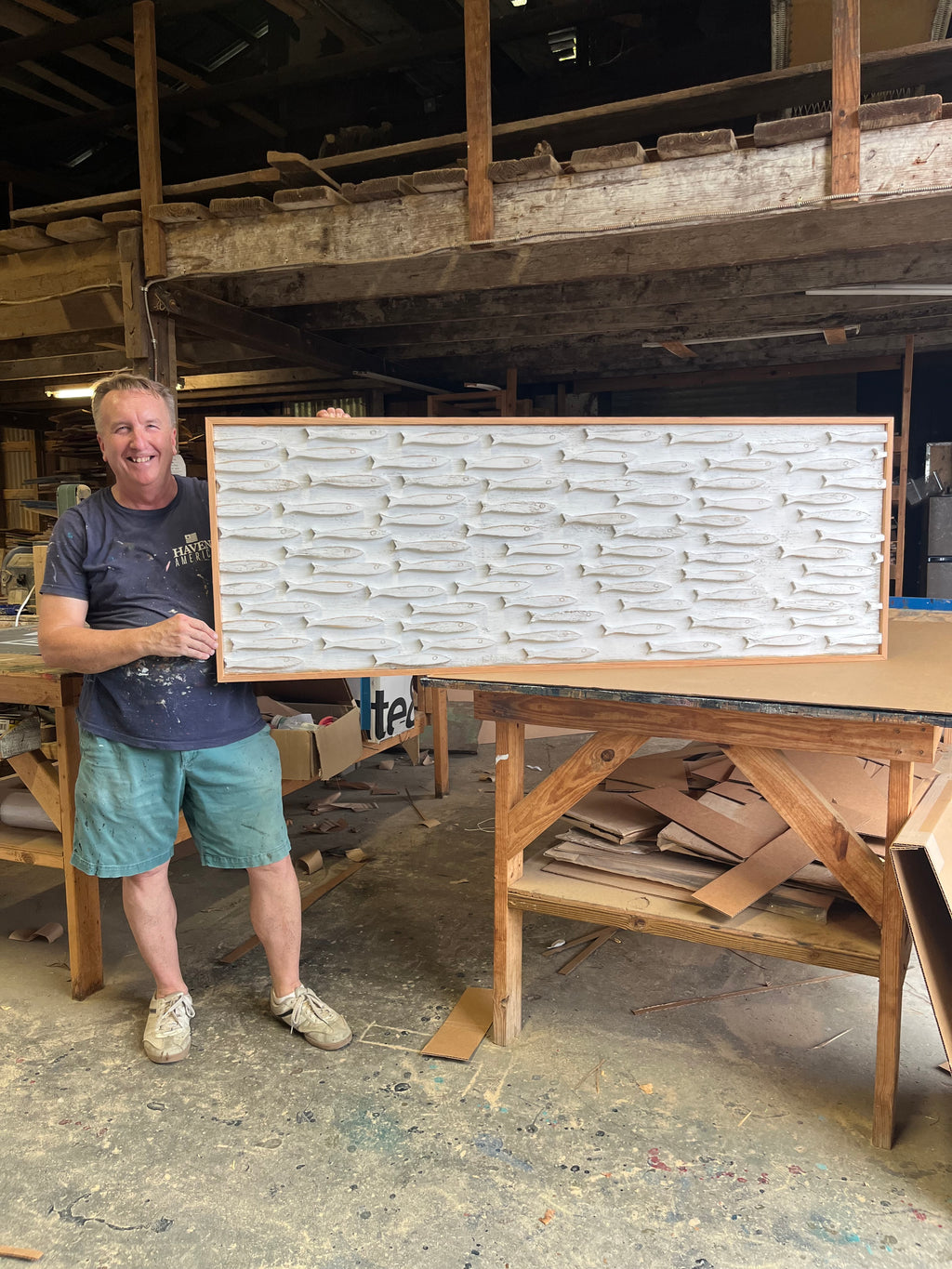 Minnow School Fish Art Framed