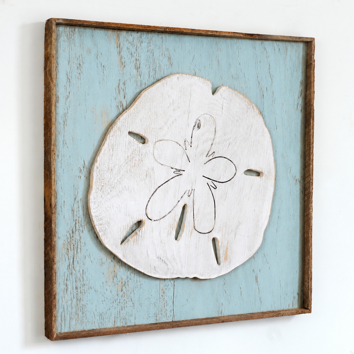 Giant Sand Dollar Framed Wall Art
