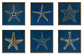 Carved Starfish 6 pc Set - Haven America