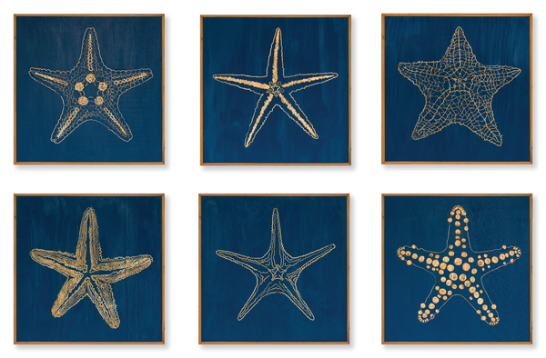 Carved Starfish 6 pc Set