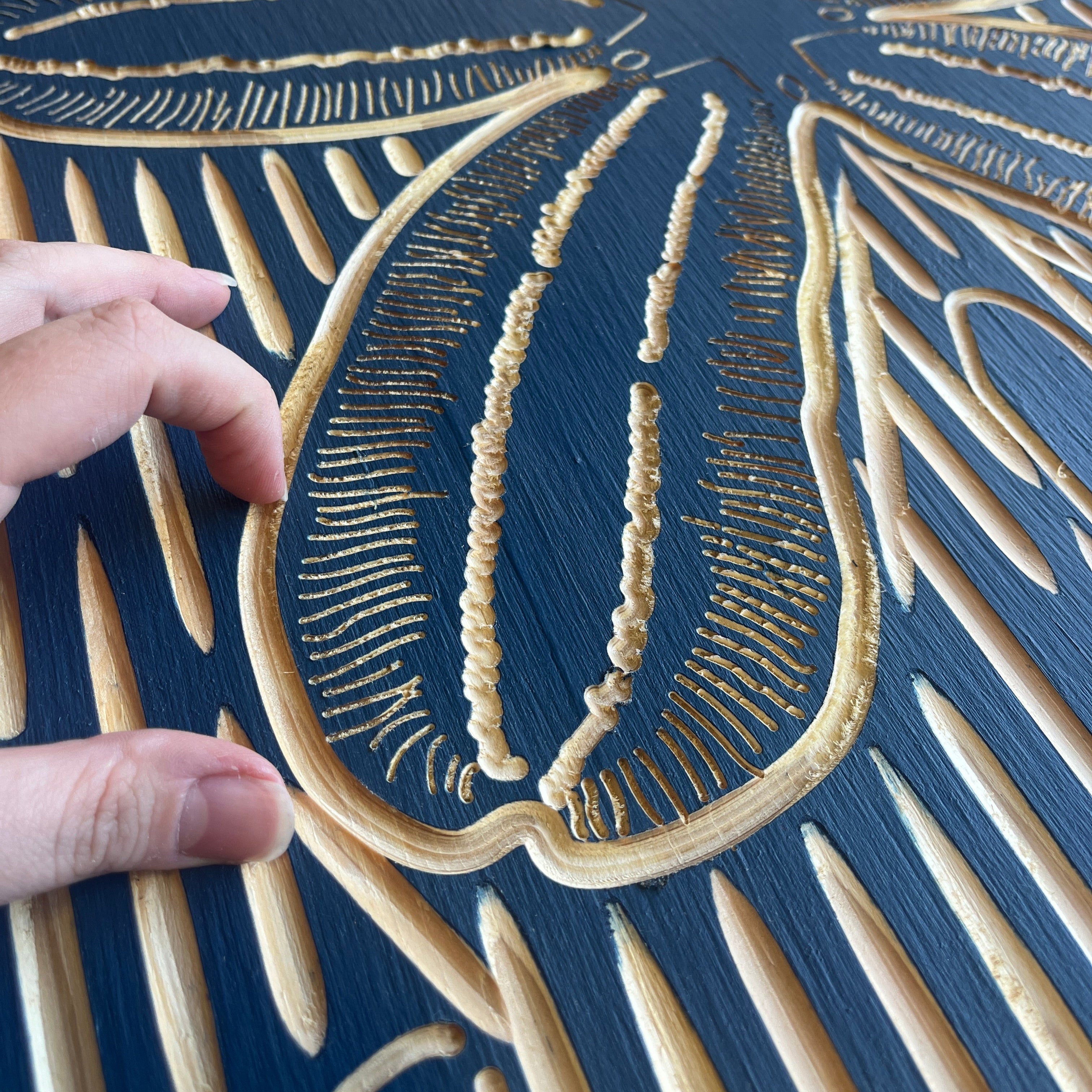 Carved Sand Dollar Wall Art - Haven America