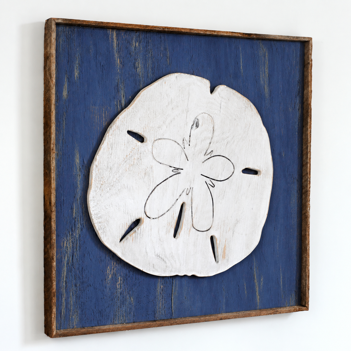 Giant Sand Dollar Framed Wall Art