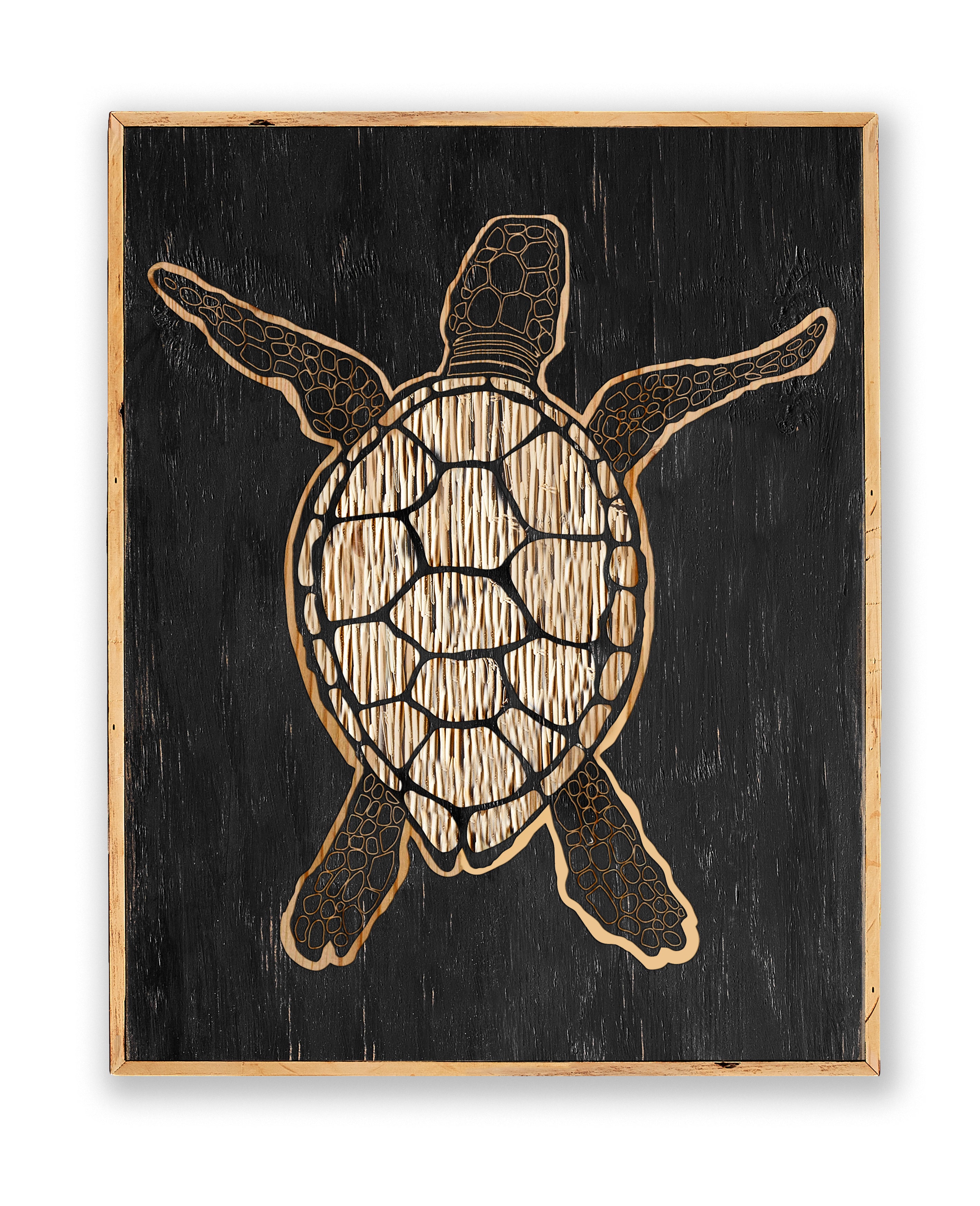 Carved Sea Turtle Framed Wall Art