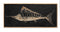 Carved Wooden Swordfish Framed Wall Art