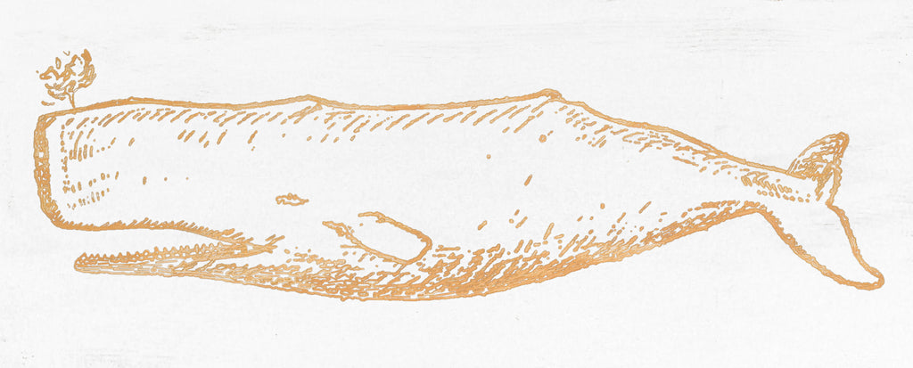Carved Whale Wall Art - Haven America
