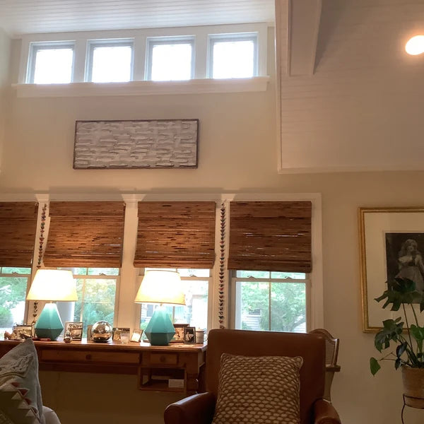 Minnow School Fish Art Framed