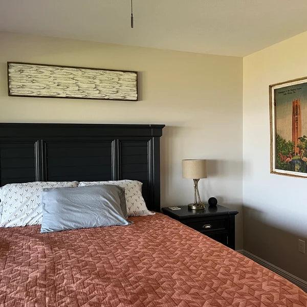 Queen Size Bed with 48" wide framed Minnow school wall art