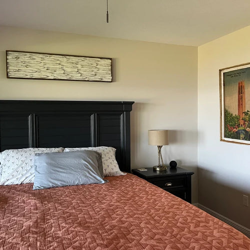 Queen Size Bed with 48" wide framed Minnow school wall art