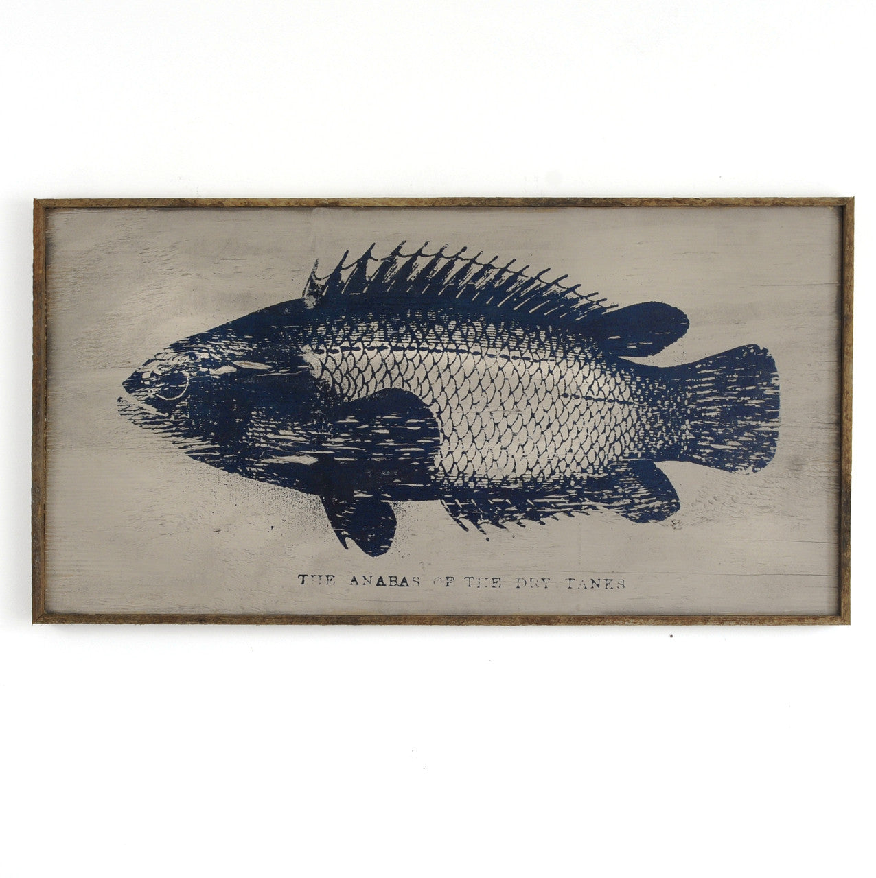 Anabas Fish Wall Art Framed - Haven America