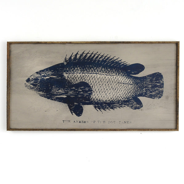Anabas Fish Wall Art Framed - Haven America