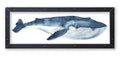 Blue Whale Print with Metal Frame - Haven America