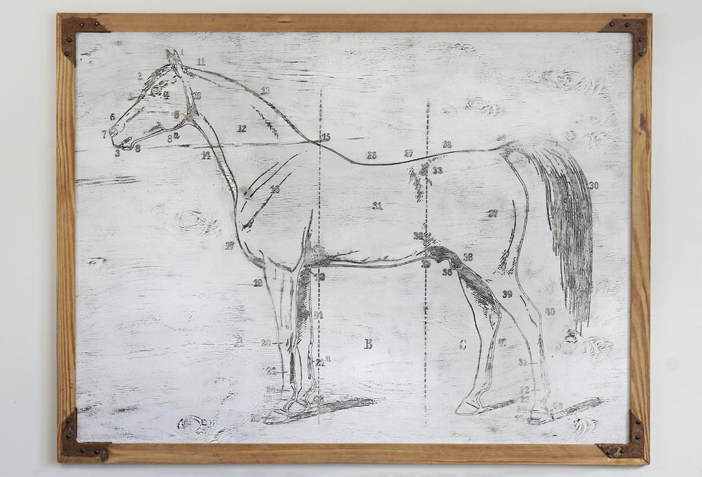 Horse Study Framed Wall Art - Haven America