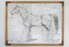 Horse Study Framed Wall Art - Haven America