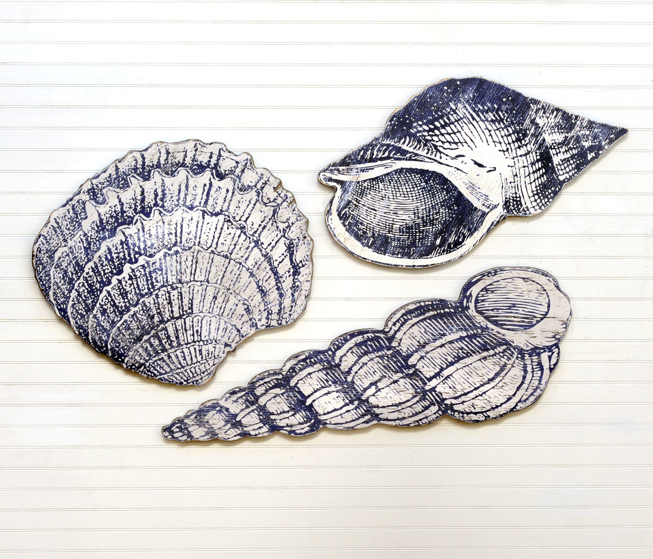 Giant SeaShell Set 3pc | Wooden Shell | Vintage Engraving - Haven America