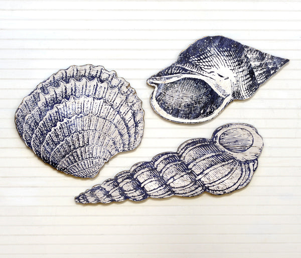 Giant SeaShell Set - Haven America
