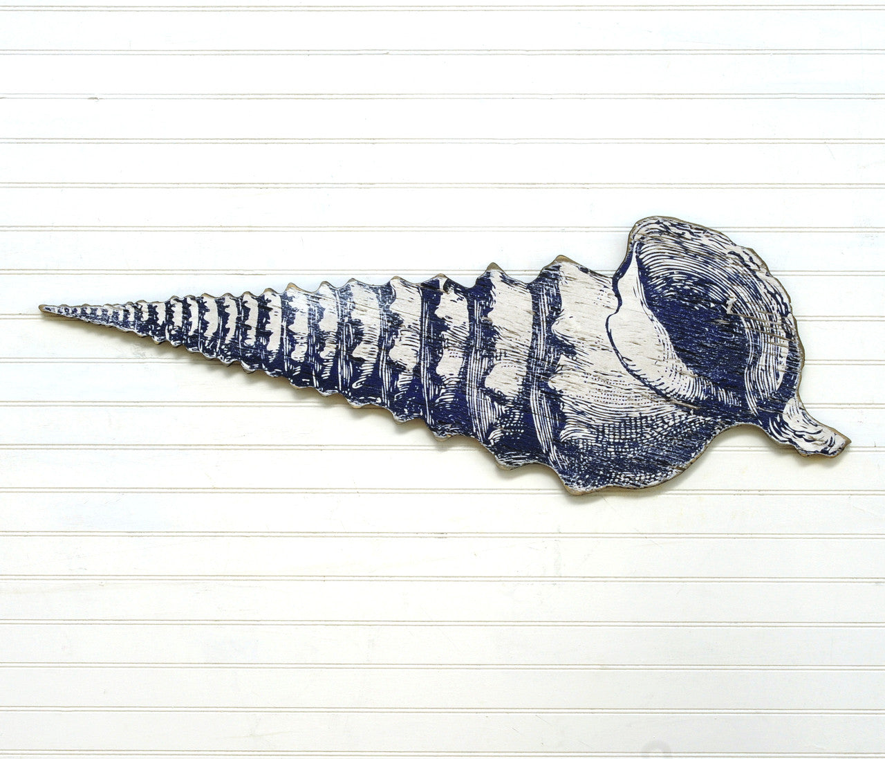 Giant SeaShell No. 03 - Haven America