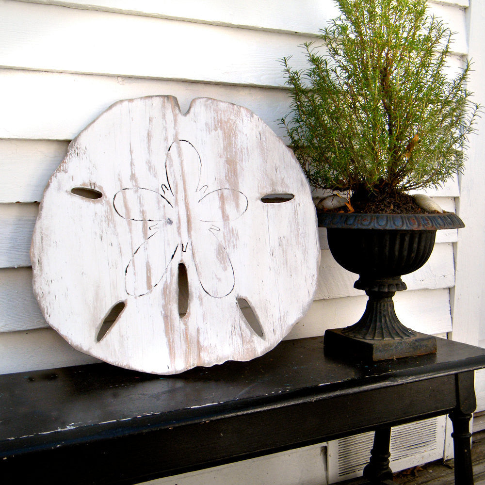 Giant Sand Dollar Wall Decor - Haven America