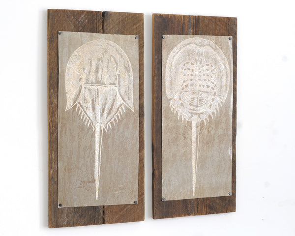 Horseshoe Crab Pair Wall Art - Haven America