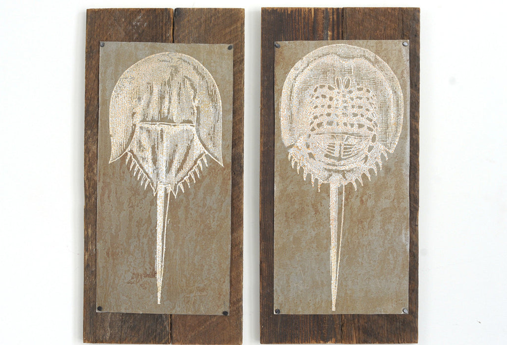Horseshoe Crab Pair Wall Art - Haven America
