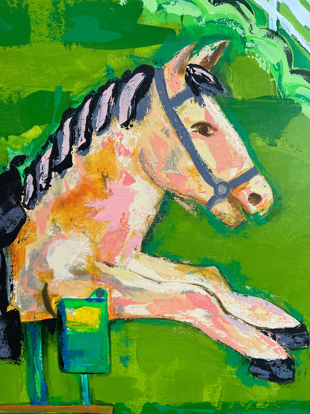 Pony for My Birthday